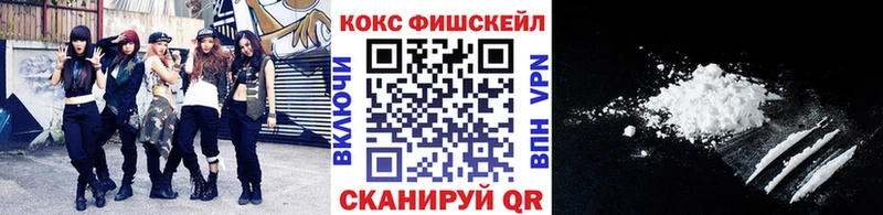 купить  сайты  Владимир  Cocaine Fish Scale 