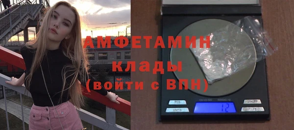 прущие грибы Вязьма