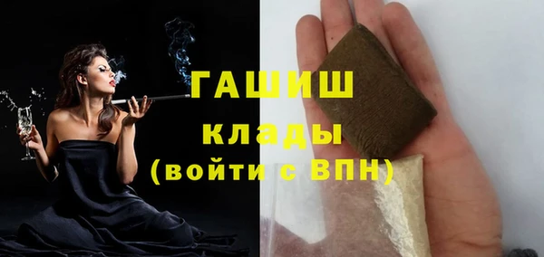 прущие грибы Вязьма