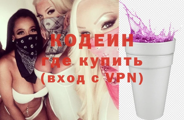 прущие грибы Вязьма