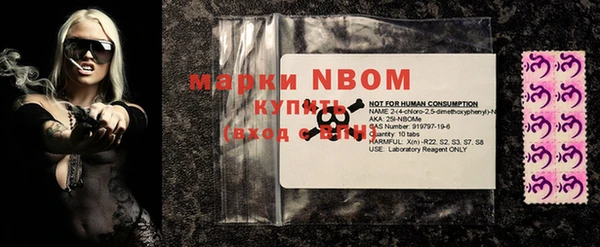 прущие грибы Вязьма