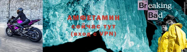 прущие грибы Вязьма