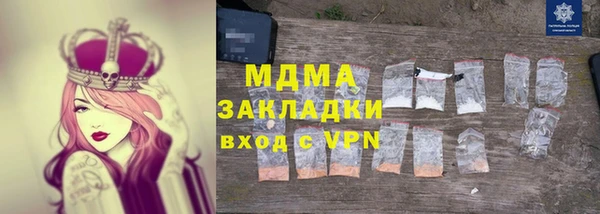 прущие грибы Вязьма