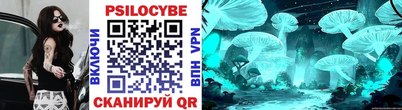 как найти закладки  Владимир  мориарти Telegram  Псилоцибиновые грибы мицелий  MEGA рабочий сайт 